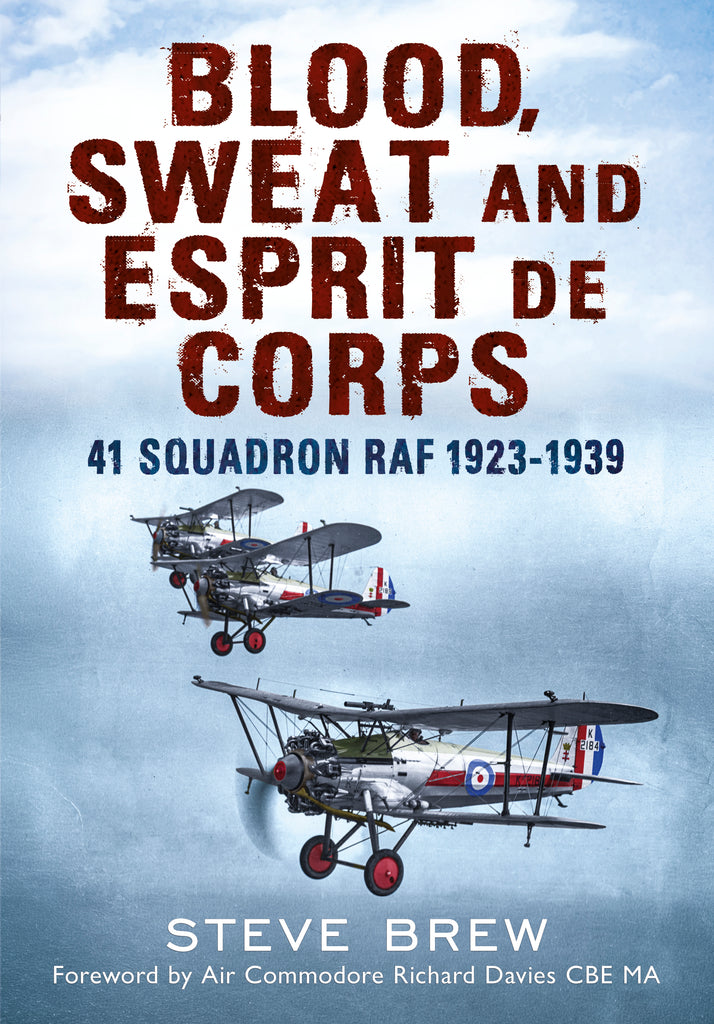 Blood, Sweat and Esprit de Corps: 41 Squadron RAF 1923–1939