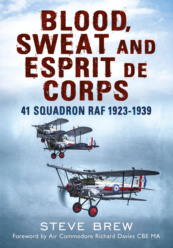 Blood, Sweat and Esprit de Corps: 41 Squadron RAF 1923–1939